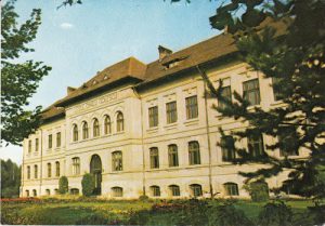Liceul Dinicu Golesc, Anii 80
